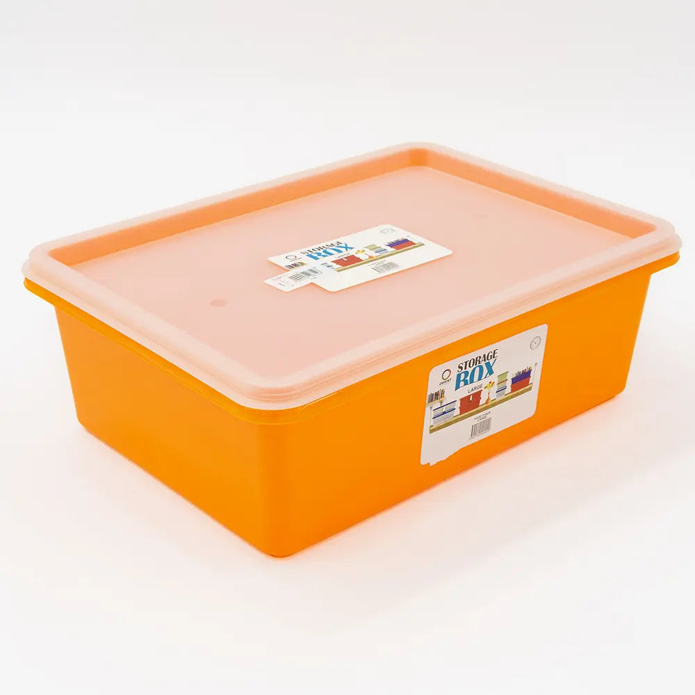 Stackable Storage Box with Lid