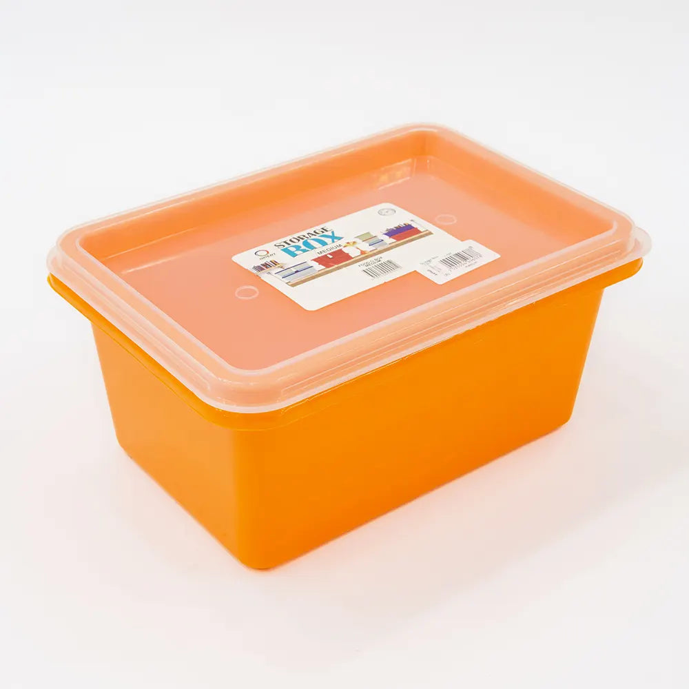 Stackable Storage Box with Lid