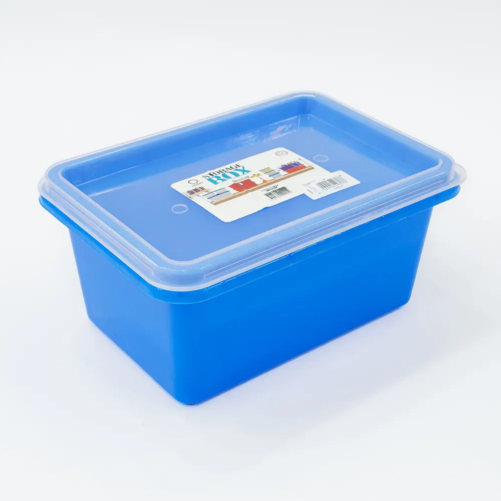 Stackable Storage Box with Lid